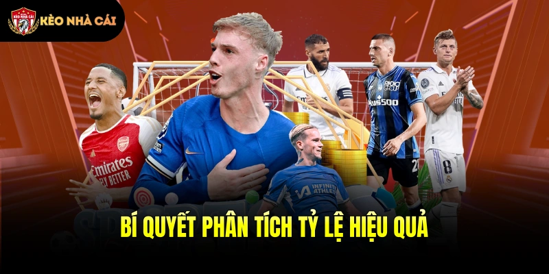 Bí quyết phân tích tỷ lệ hiệu quả