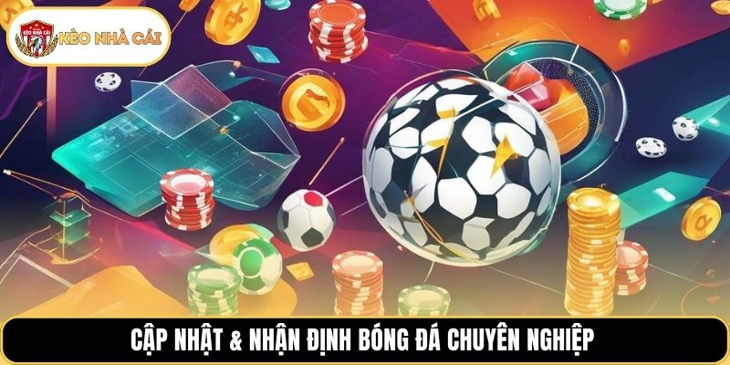 Cập nhật & nhận định bóng đá chuyên nghiệp