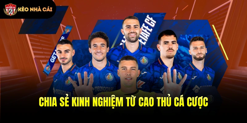 Chia sẻ kinh nghiệm từ cao thủ cá cược