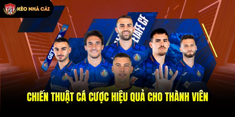 Chiến thuật cá cược hiệu quả cho thành viên