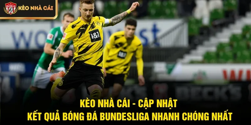 Kèo nhà cái - Cập nhật kết quả bóng đá Bundesliga nhanh chóng nhất