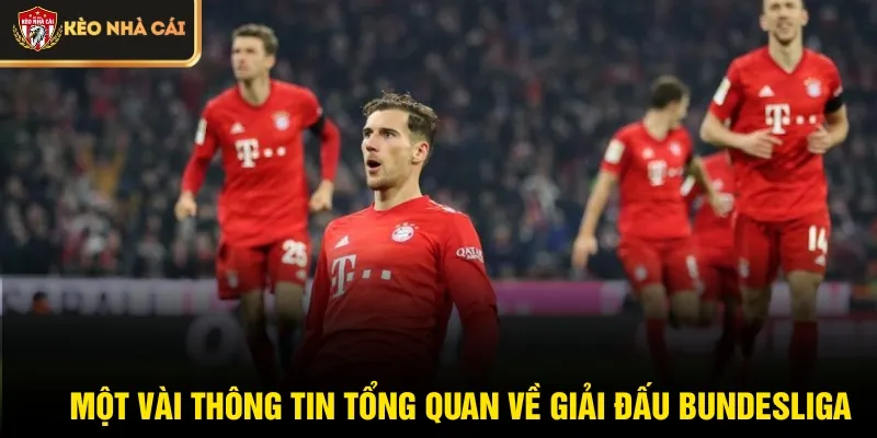 Một vài thông tin tổng quan về giải đấu Bundesliga