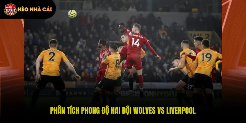 Phân tích phong độ hai đội Wolves vs Liverpool