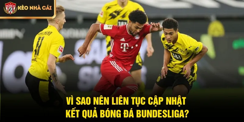 Vì sao nên liên tục cập nhật kết quả bóng đá Bundesliga?